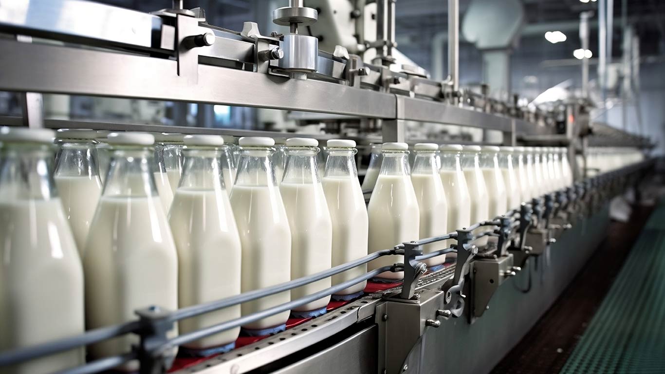 Modern Milk Processing: Ensuring Purity and Quality