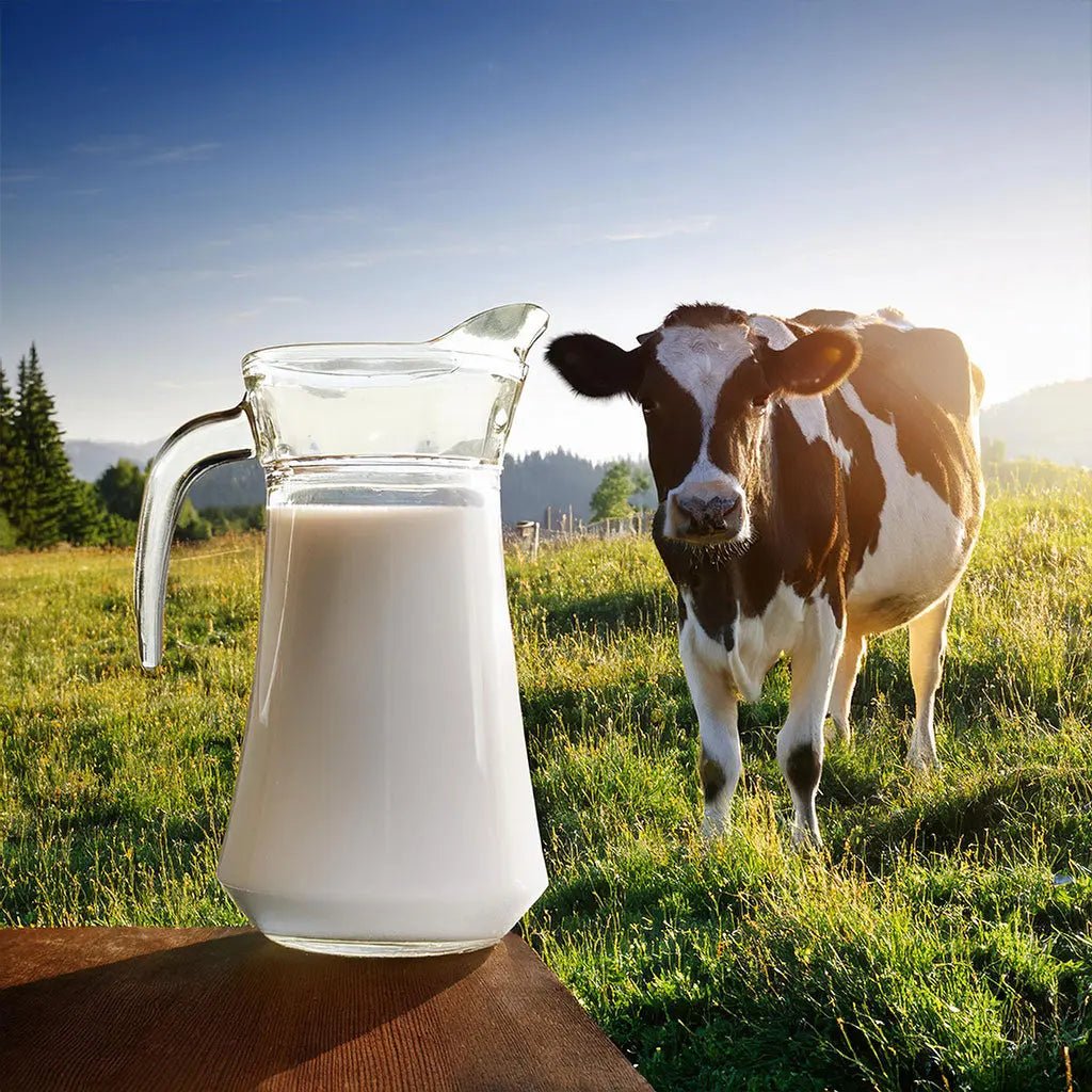 Cow Milk - GK DAIRY - Tamil Paal